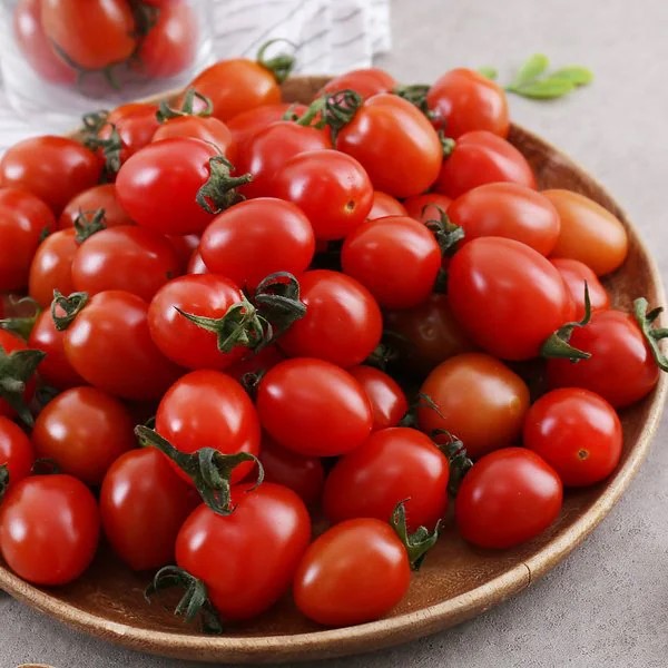 스테비아방울토마토