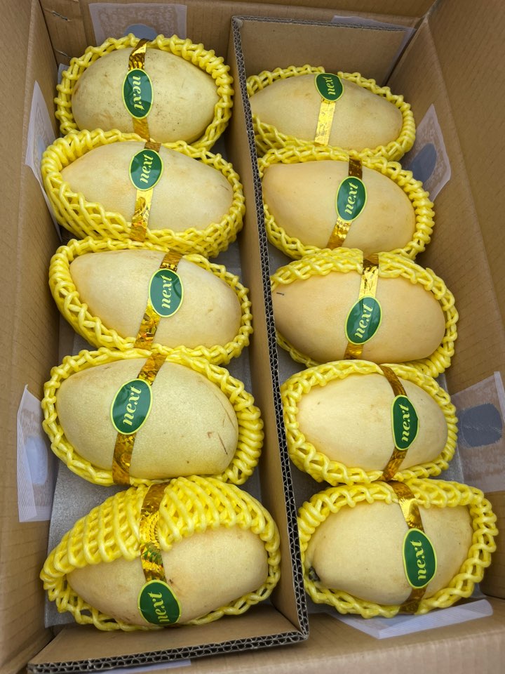 골드망고(남독마이) 특대과 8~12과 (5kg내외)