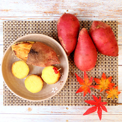 2025 해남특품호박고구마 대 5kg