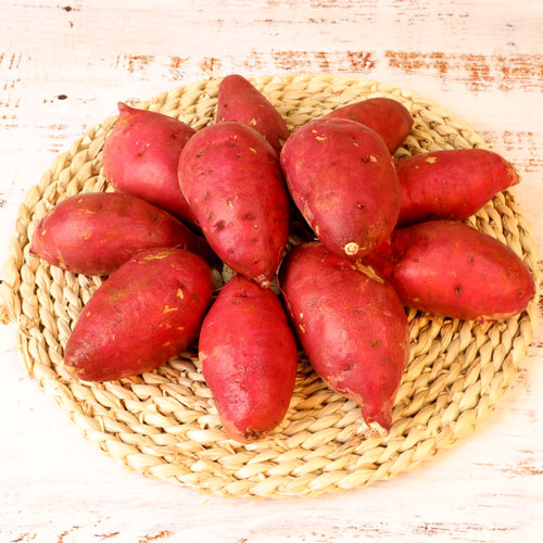 2025 해남특품꿀고구마 중 5kg