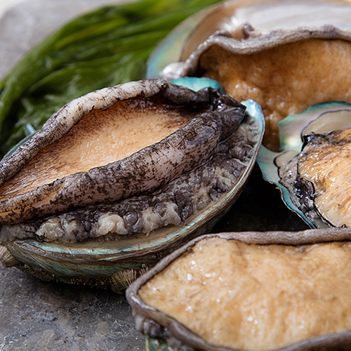 완도 활전복 1kg 14-15마리